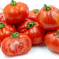 Tomato Seeds - Rouge de Marmande - Certified Organic