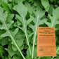 Certified Organic Salad Rocket Herb Seeds