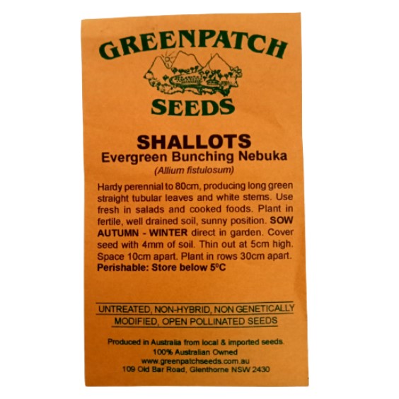Shallots Seeds - Evergreen Bunching Nebuka