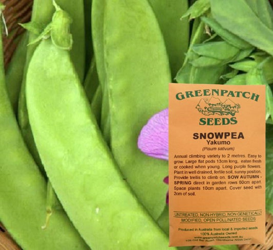 Heirloom Snowpea Yakumo Vegetable Seeds. Shop your certified organic and heirloom vegetable seeds.