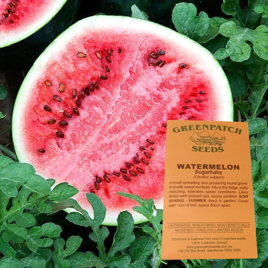 Watermelon Seeds - Sugar Baby - Certified Organic