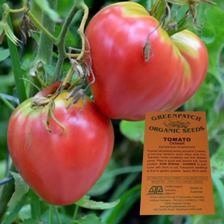Tomato Seeds - Ox Heart - Certified Organic