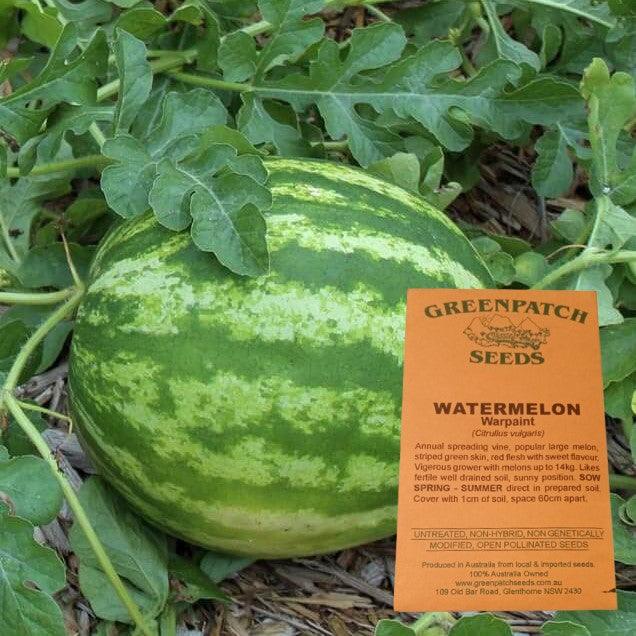 Watermelon Packet Watermelon Seed Packet - Warpaint - Heirloom Fruit Seeds – YourVegePatch